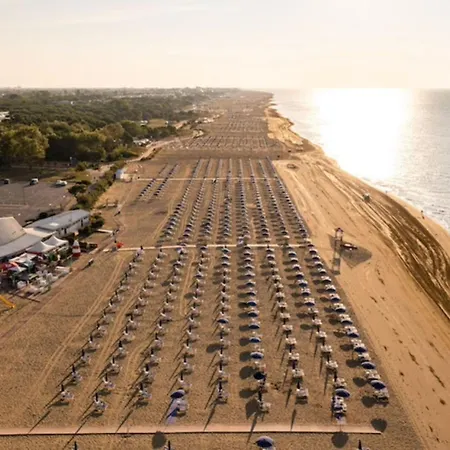 Relaxing Near The 公寓 *